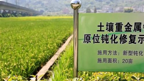 台州市获2019年度浙江省土壤污染防治工作考核第一