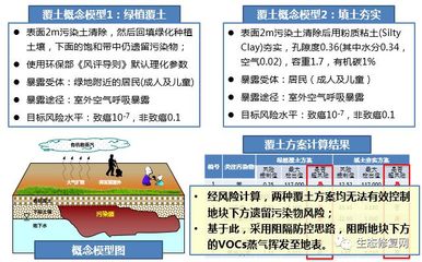 【专家视角】杨洁:基于安全利用的污染场地风险管控与治理修复模式 -----在上海的探索与实践