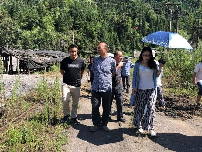 生态环境厅组织专家对农用地土壤污染治理修复进行现场指导
